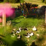 Thermal Velingrad